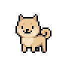 柴犬